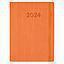 D33-Agenda Dia Wire'o / 6Y-Vivione / 364-Naranja
