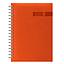 R57-Programador Gerencial Wire'o / D2-Plaza / 527-Naranja