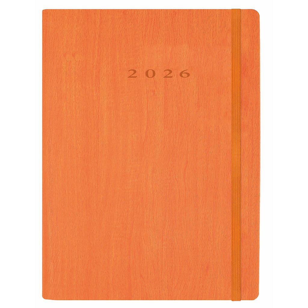 D33-Agenda Dia Wire'o / 6Y-Vivione / 364-Naranja