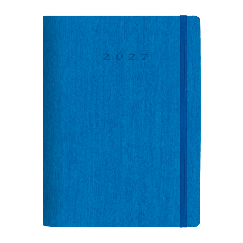 D33-Agenda Dia Wire'o / 6Y-Vivione / 353-Azul