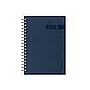 R57-Programador Gerencial Wire'o / D2-Plaza / 529-Azul