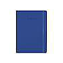 D33-Agenda Dia Wire'o / C6-Rivoli / B10-Azul