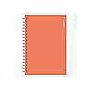 D13-Agenda Dia Wire'o / 04-Positano / C19-Naranja