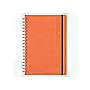 D13-Agenda Dia Wire'o / 6H-Tucson Flex / 460-Marron (copy)