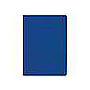 D33-Agenda Dia Wire'o / MR-Chia / C10-Azul