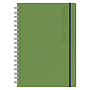 D13-Agenda Dia Wire'o / 6H-Tucson Flex / 927-Verde