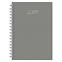 D13-Agenda Dia Wire'o / 04-Matra Beta / 023-Gris